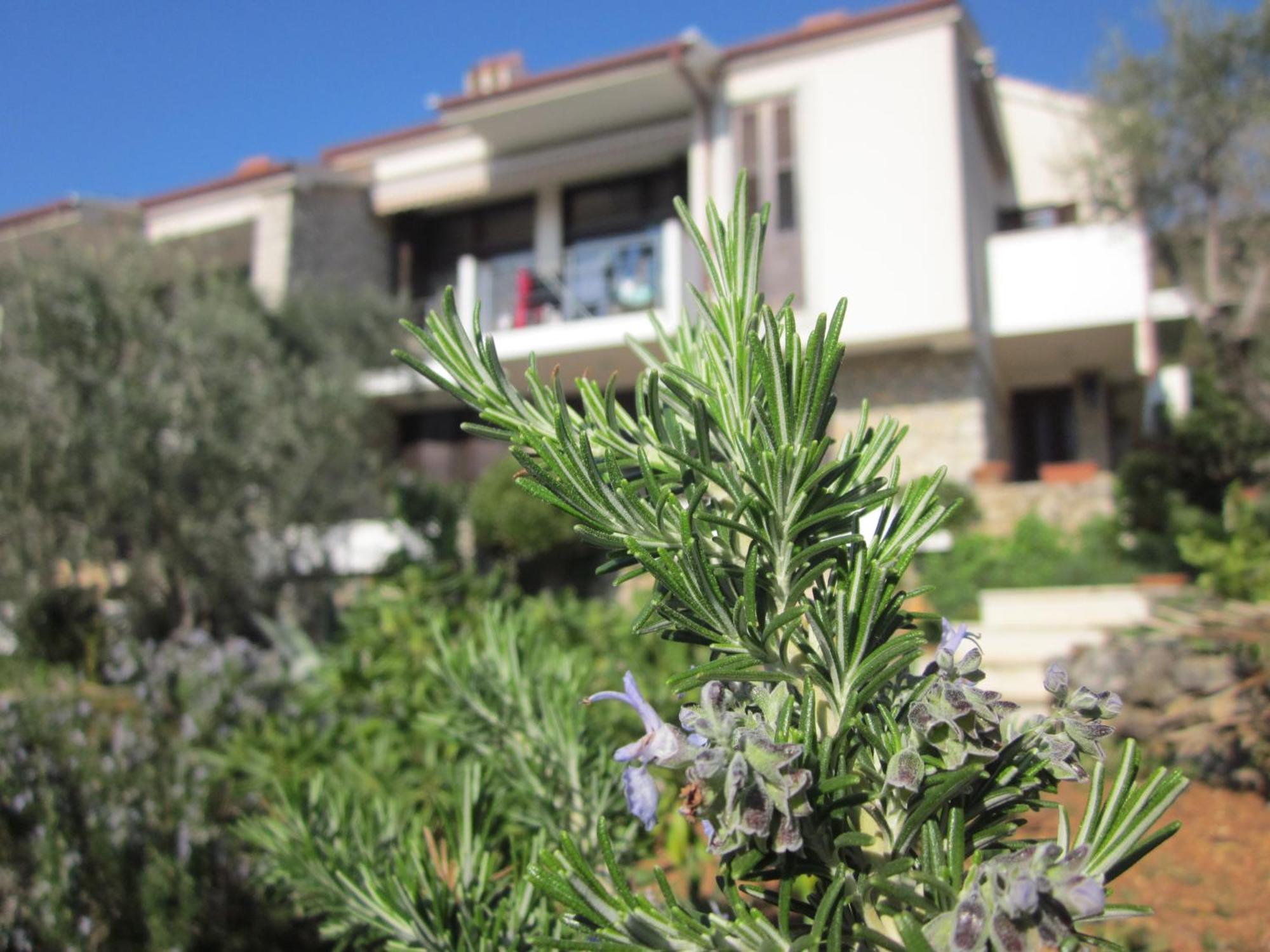 Apartments Palma & Pino Cres Extérieur photo